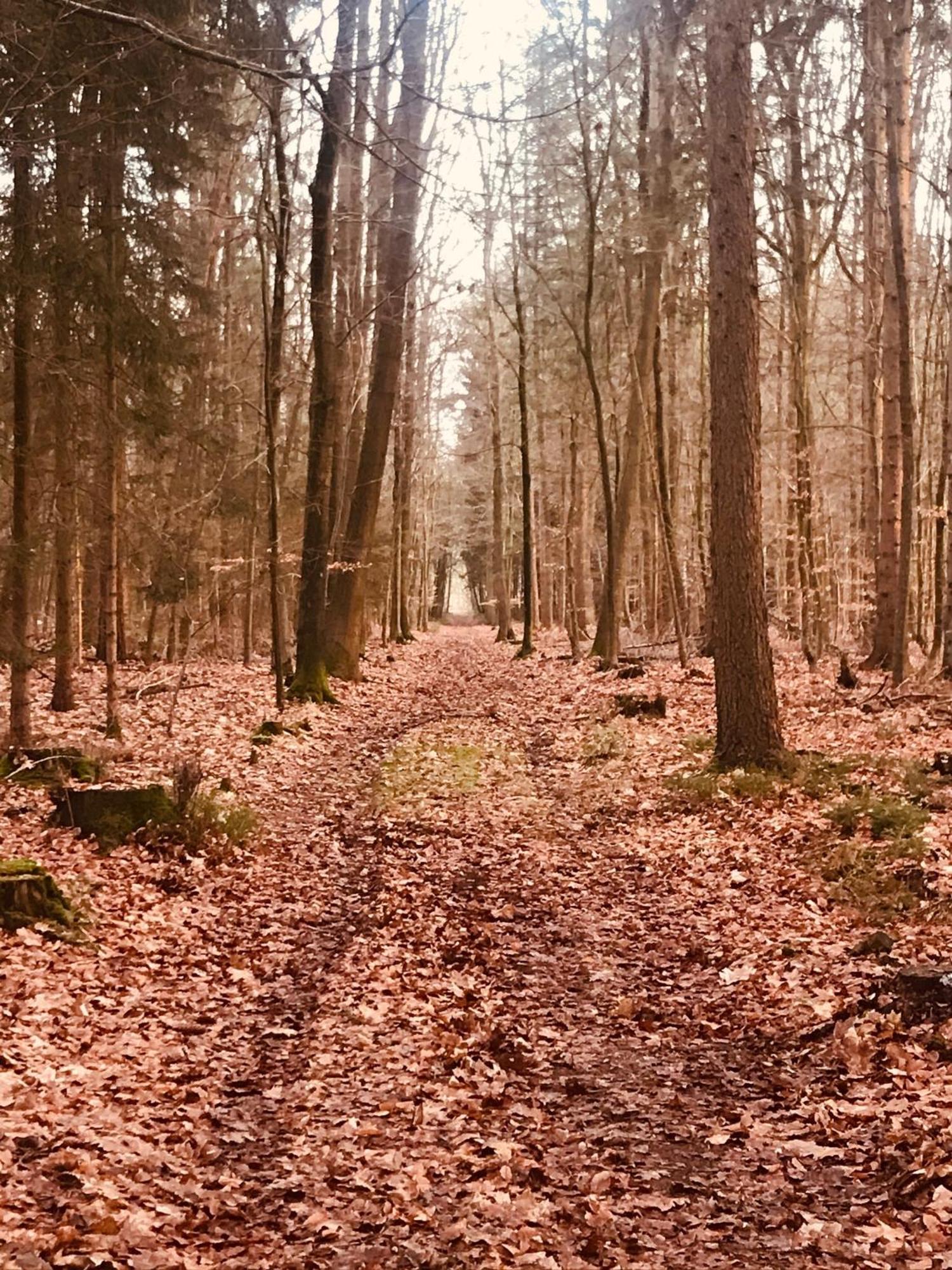 Schöne Auszeit RE14 Sögel Exterior foto