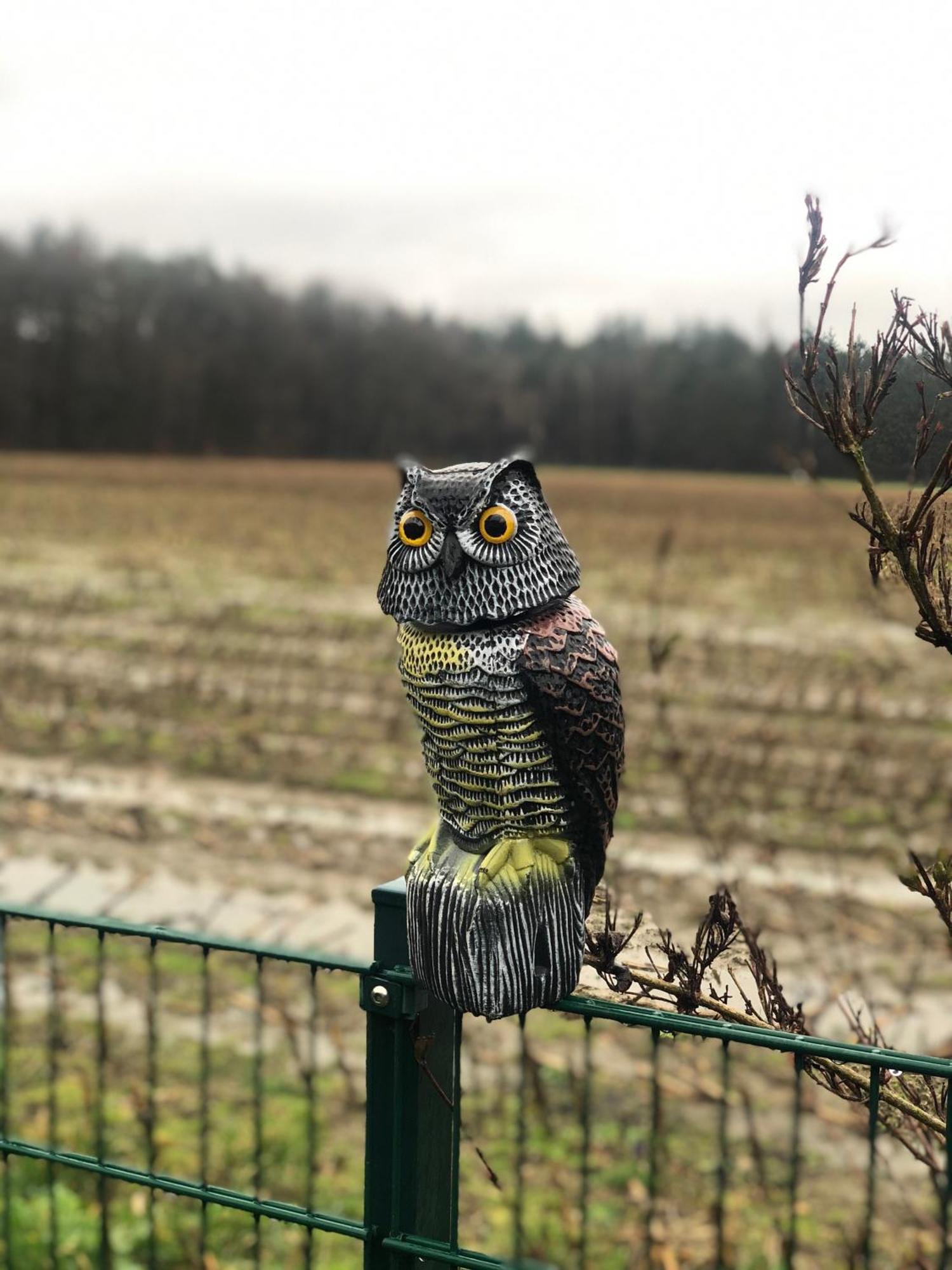 Schöne Auszeit RE14 Sögel Exterior foto